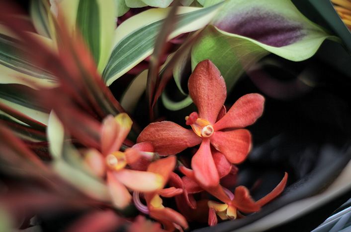 フュージョンについて